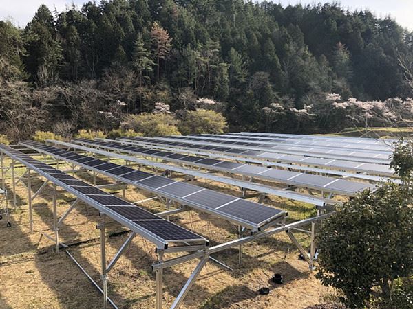 Solar Farm Mounting System